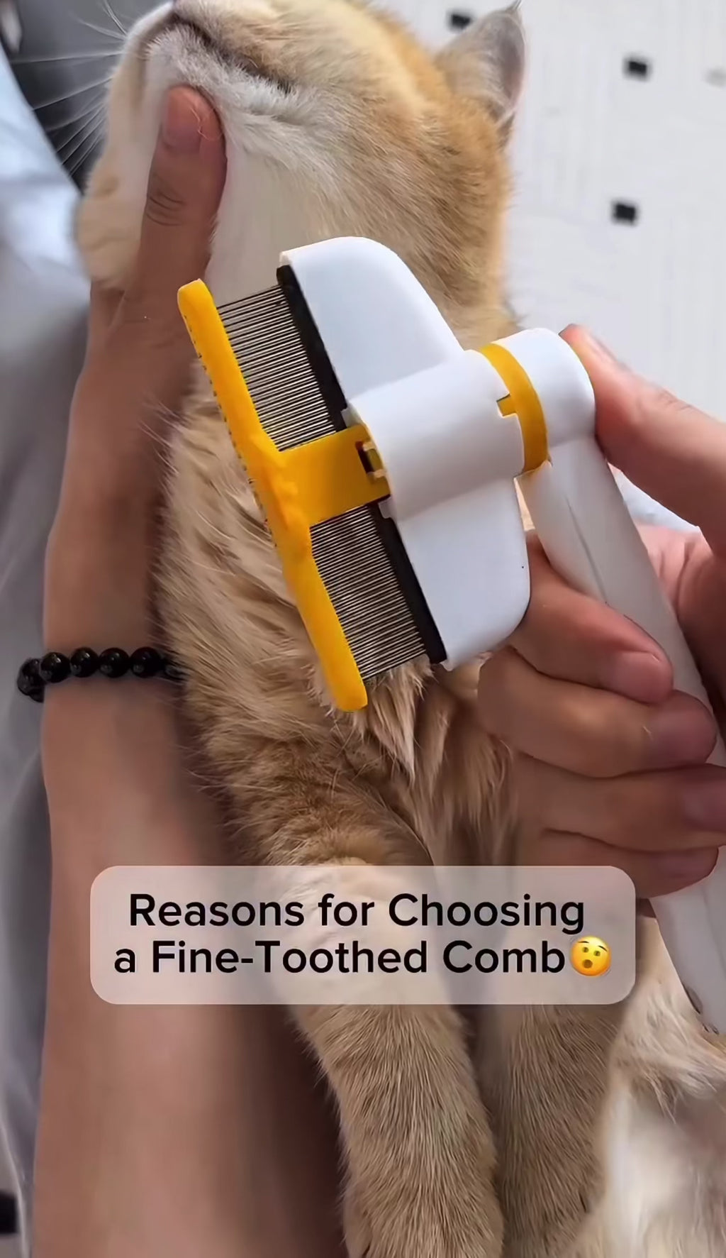 Brosse de Toilettage pour Animaux