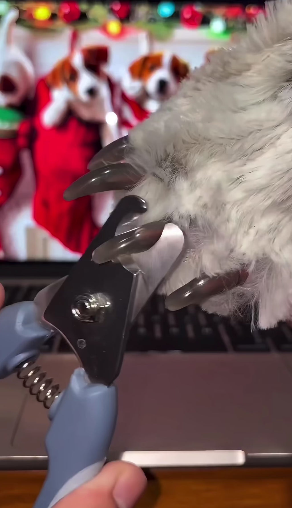 Pet Nail Clipper with Led Light