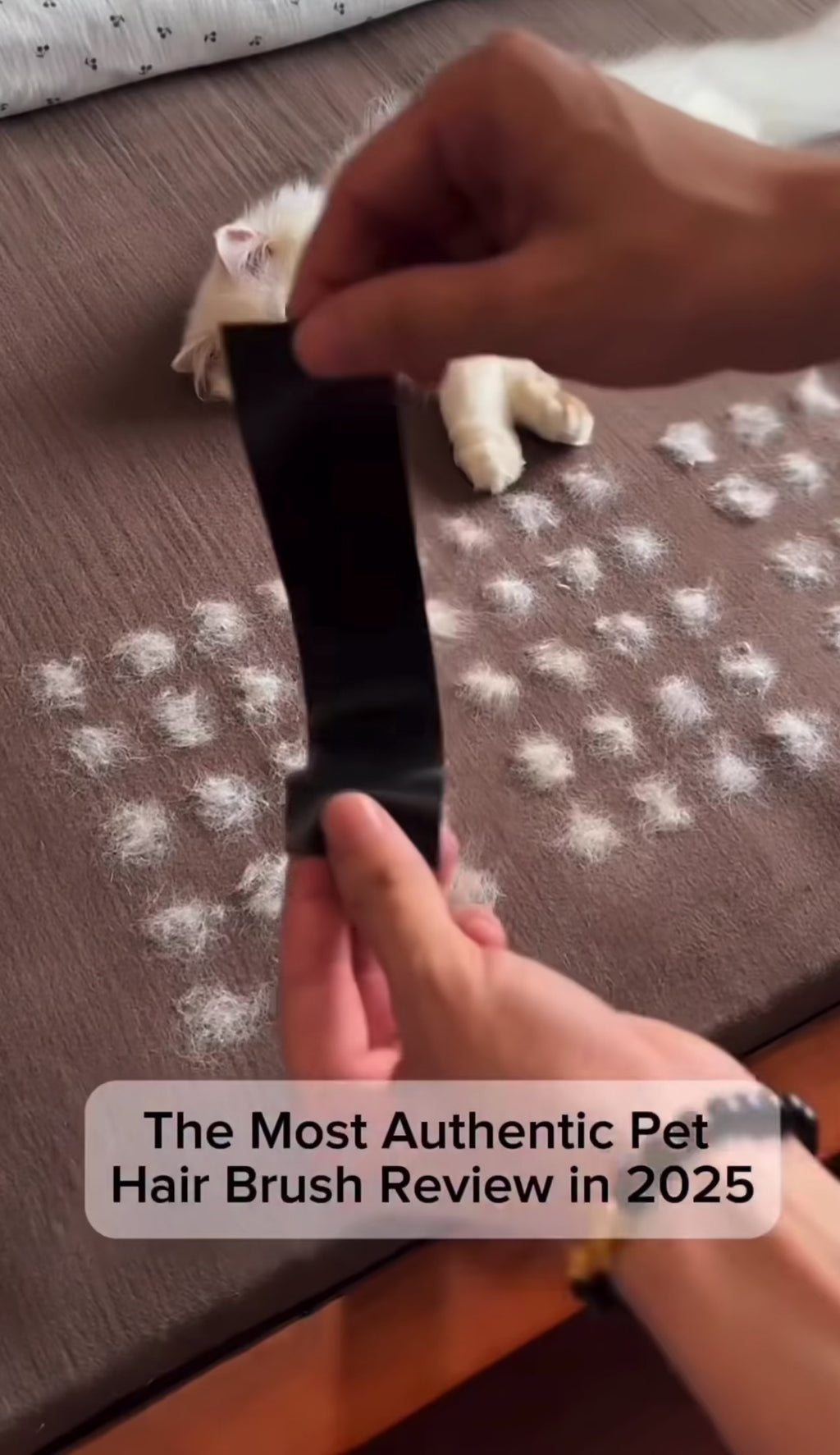 Gant de Toilettage 2-en-1 : Nettoyage & Massage