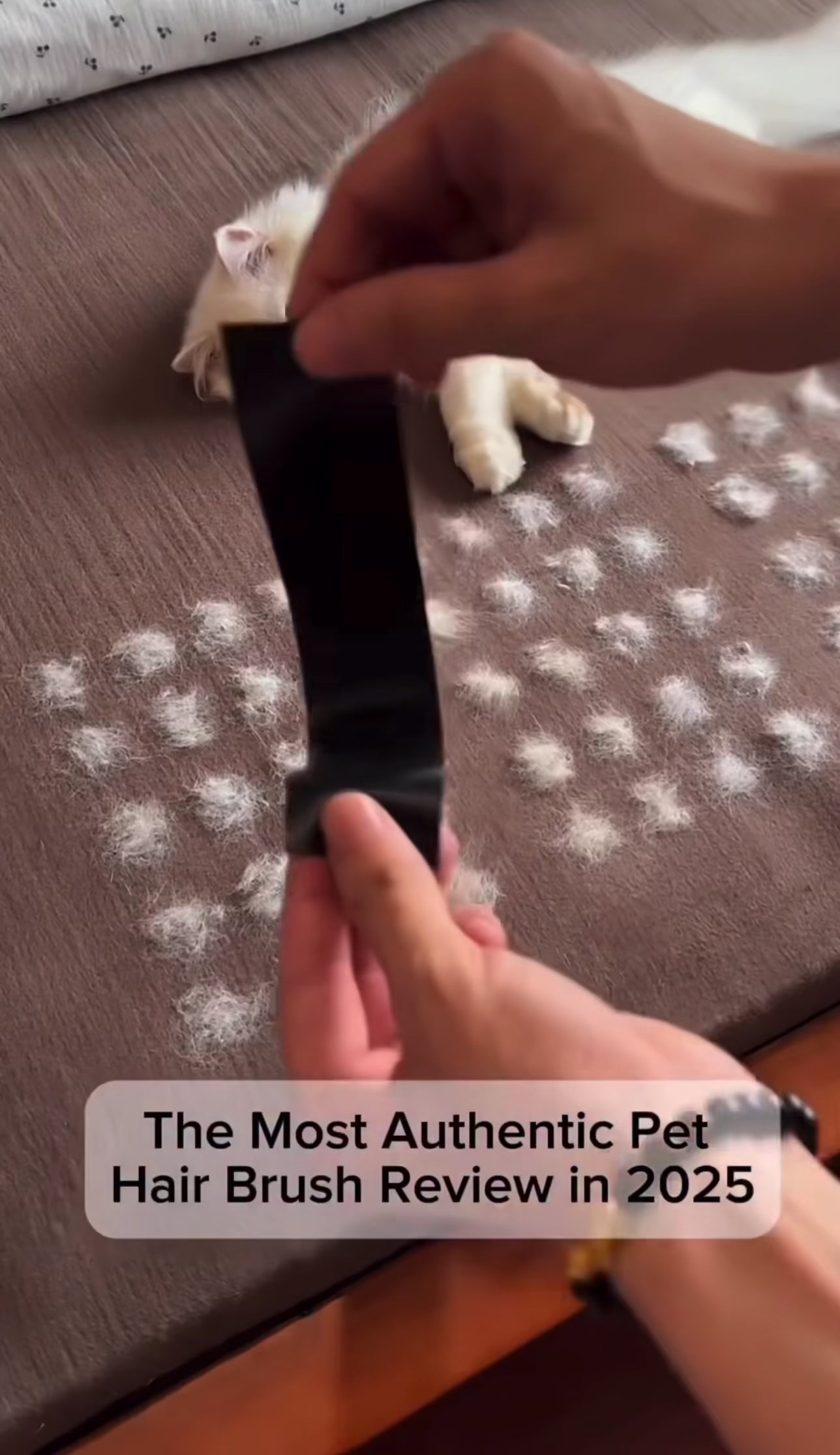 Gant de Toilettage 2-en-1 : Nettoyage & Massage