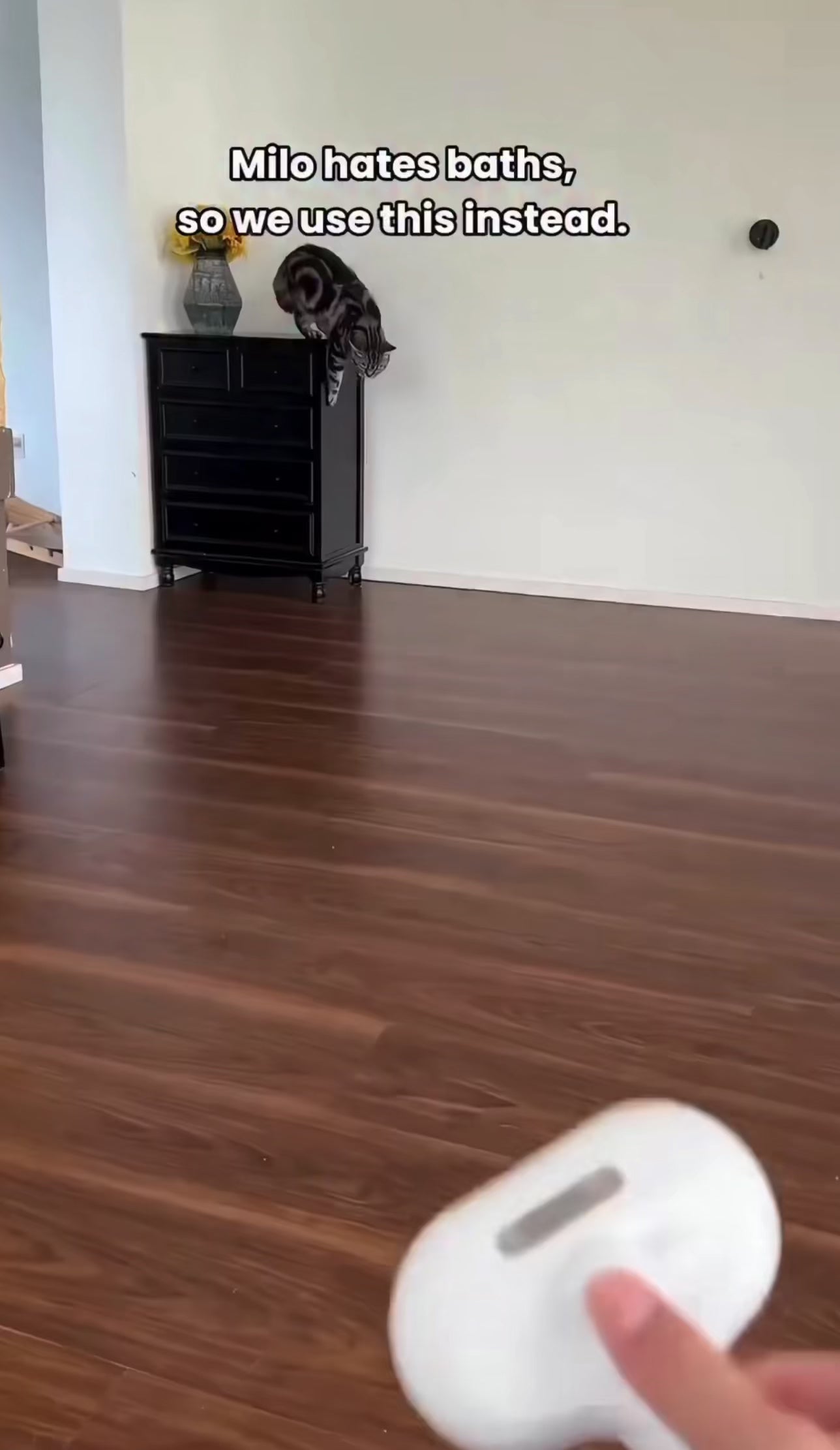 Pet Steam Grooming Comb